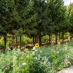 Nature Village - Greenly N°21 - 4 Personnes Avec Jacuzzi Bullange