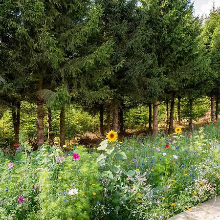 Nature Village - Greenly N°21 - 4 Personnes Avec Jacuzzi בולאנז'