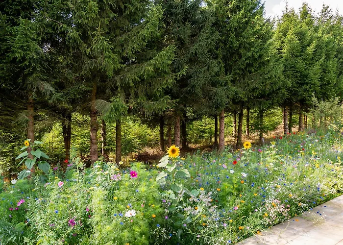 Nature Village - Greenly N°21 - 4 Personnes Avec Jacuzzi Bullange
